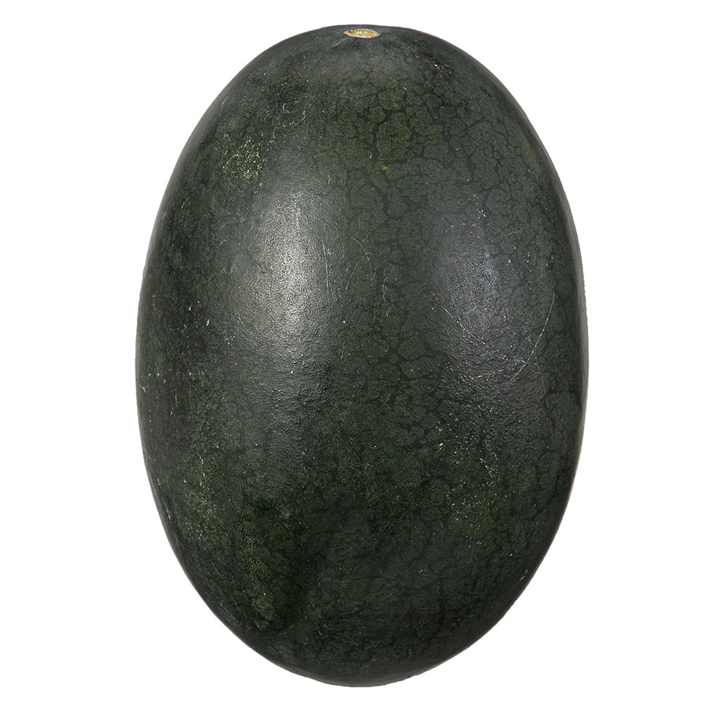 Deurimpam Mango Watermelon , 1.5 kg Sang , 1 Pack (드림팜 망고수박, 1.5kg 이상, 1개)