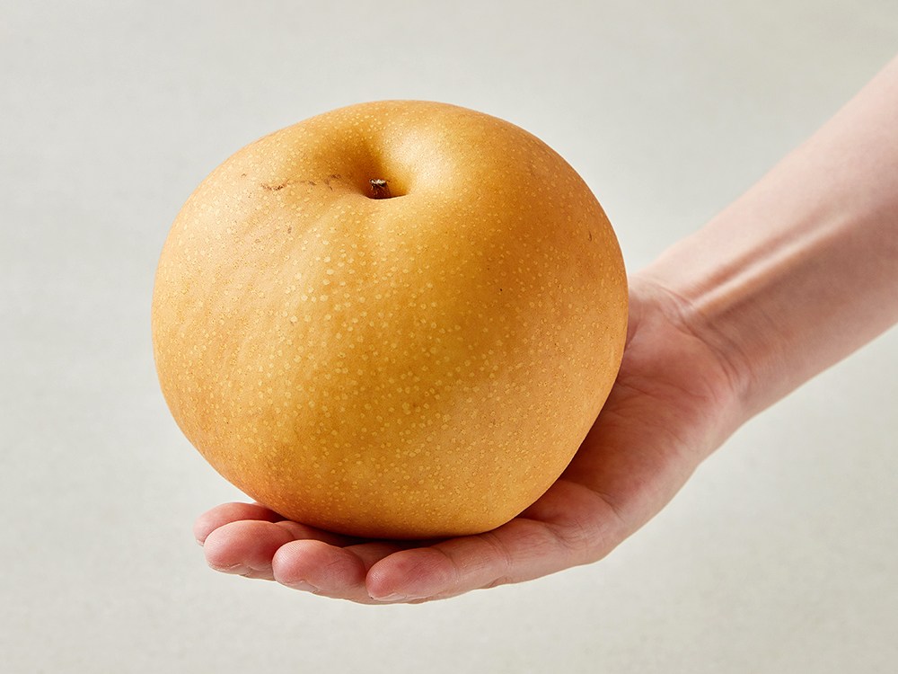 Dabok Sweetness Seonbyeol Altteul Naju Pear , 1 Pack , 5 kg(6~12 Pack ) (다복 당도선별 알뜰 나주배, 1개, 5kg(6~12입))