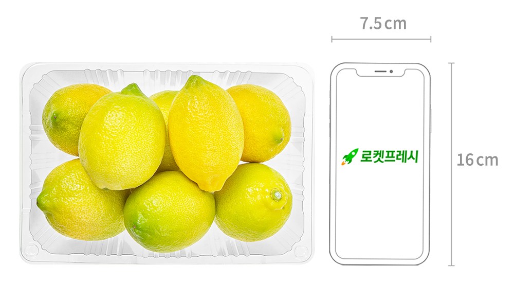 Jedeudeun Jeju Lemon , 1 Pack , 1 kg(8~14 Pack ) (제이드가든 제주 레몬, 1개, 1kg(8~14입))