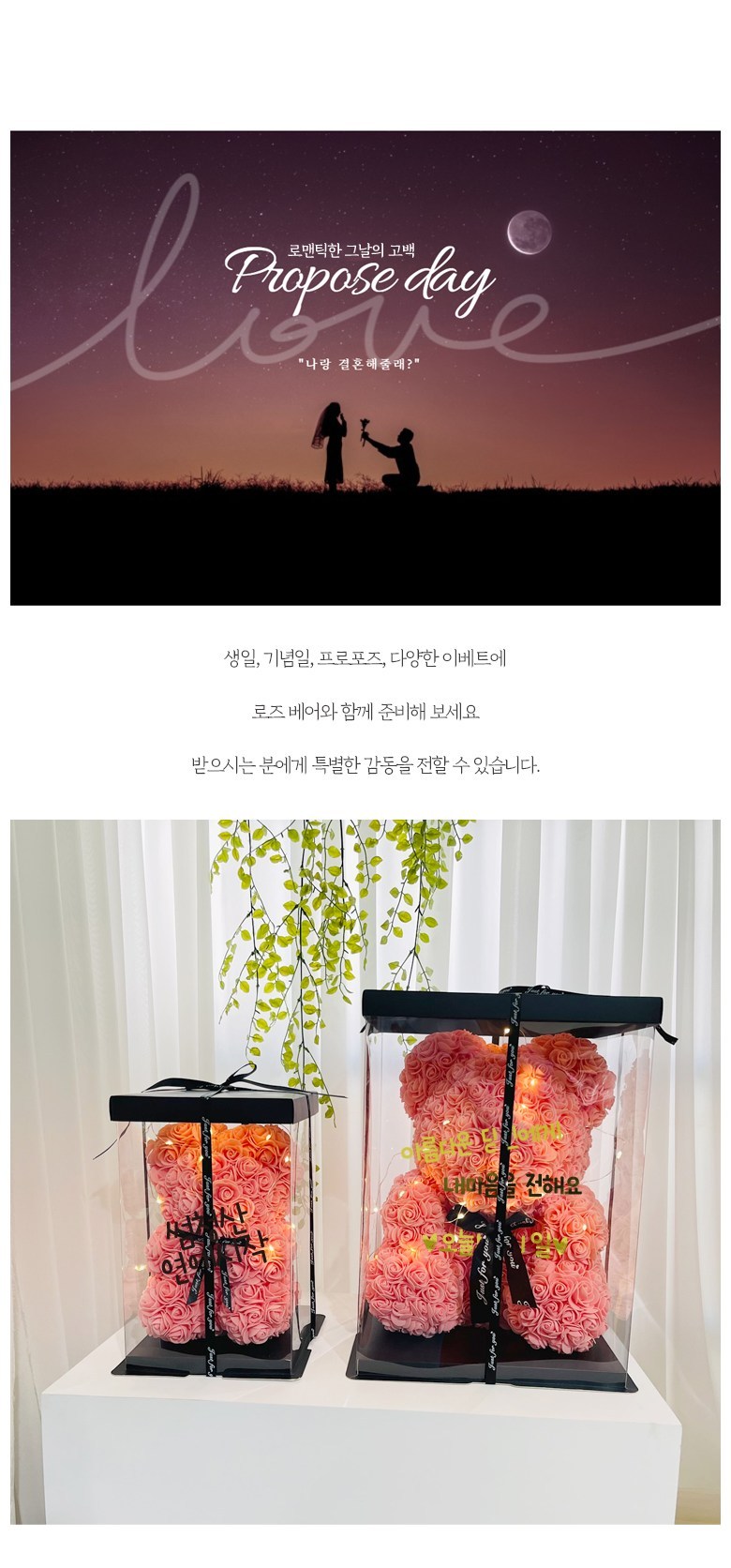 Reobeulripam Rose Beeo + Jeonyong Case + LED Jeongu + Reteoring Sheet Ji Set Joleop S, S Size , Abori , 1 Pack (러블리팜 로즈베어 + 전용케이스 + LED전구 + 레터링 시트지 세트 졸업 S, S사이즈, 아이보리, 1개)