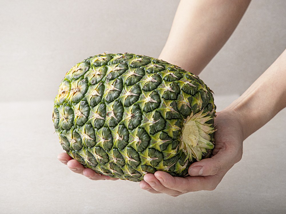 Mannada Gold Pineapple Teukdae 2 Pack , 3.2 kg, 1 Pack (만나다 골드 파인애플 특대 2입, 3.2kg, 1팩)