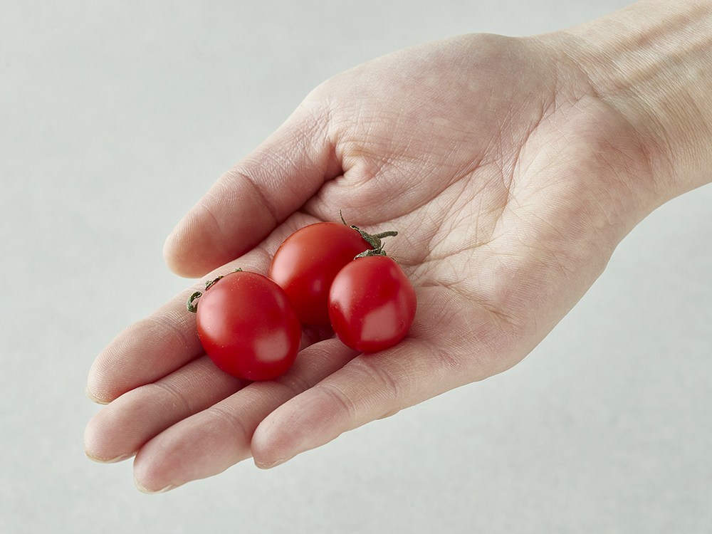 Daechu Cherry Tomato So 4~5 Beon , 1 Pack , 2 kg (대추방울토마토 소과 4~5번과, 1개, 2kg)