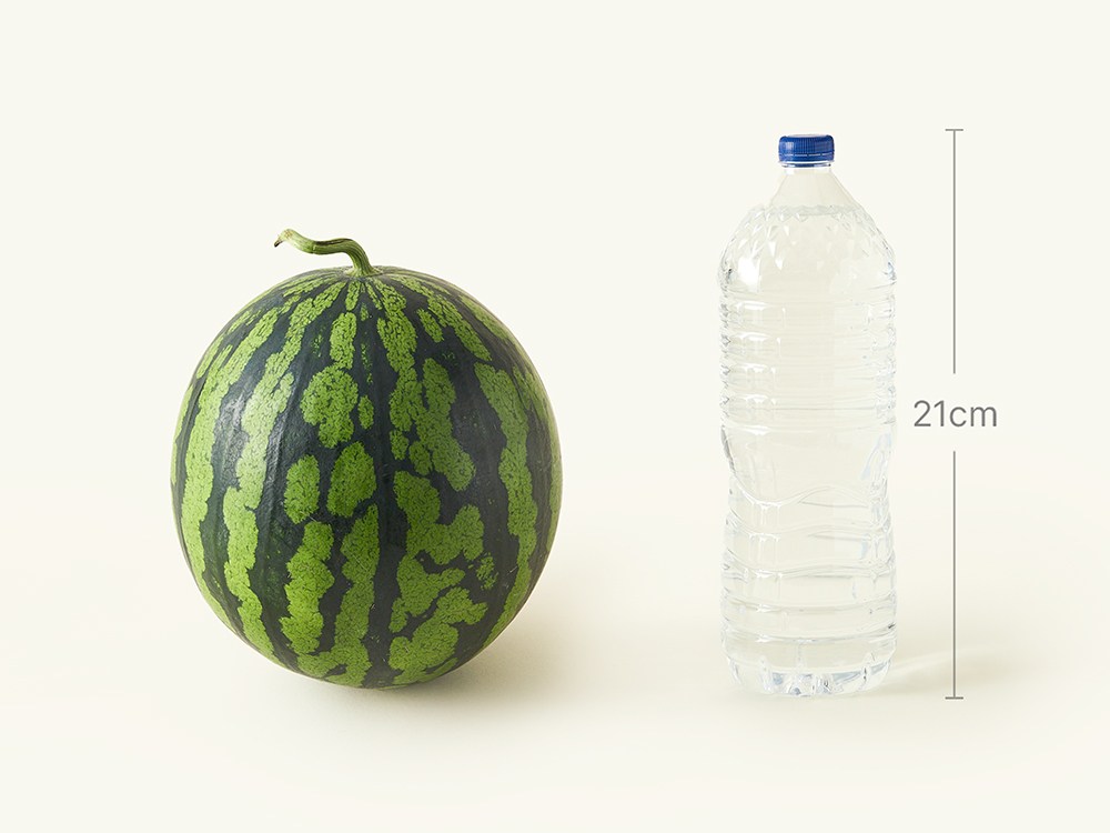 Watermelon , 5 kg Sang , 1 Pack (프리미엄 수박, 5kg이상, 1개)
