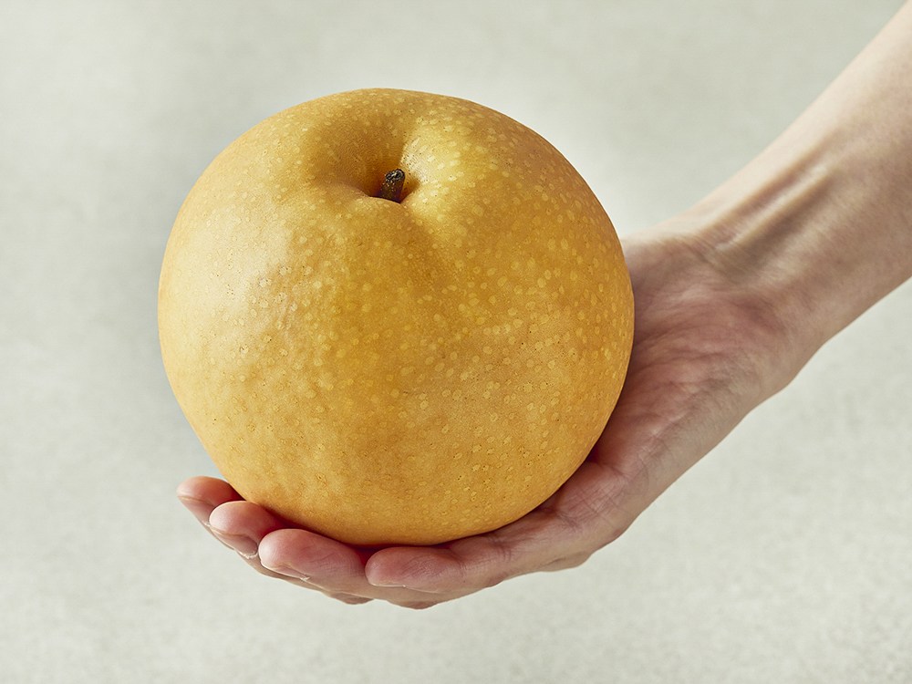 Naju Pear Wonyenongeophyeopdongjohap Sweetness Seonbyeol Singo Pear , 1 Pack , 550 g(1 Pack ) (나주배원예농업협동조합 당도선별 신고배, 1개, 550g(1입))