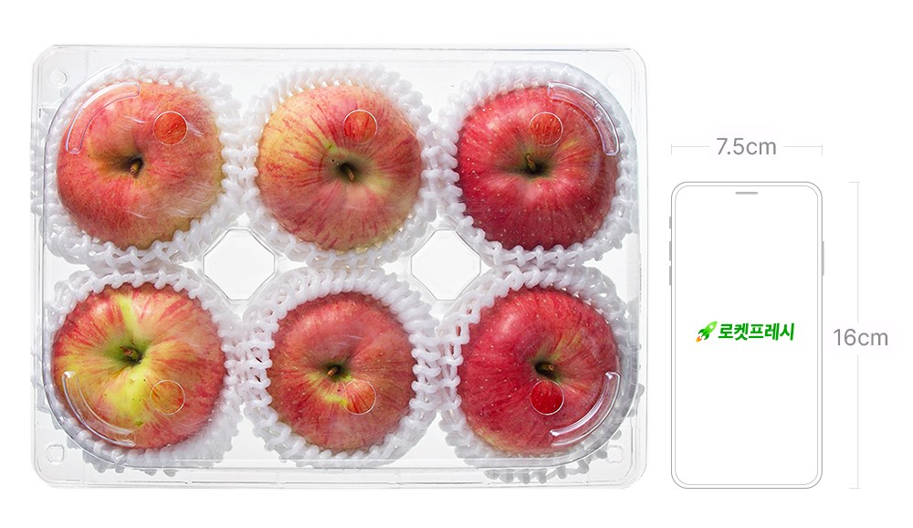 Dangchan Gosanji Juk Sheets Apple Jung 6 Pack , 1.3 kg Jung 6 Pack , 1 Pack (당찬 고산지 죽장사과 중과 6입, 1.3kg 중과 6입, 1개)