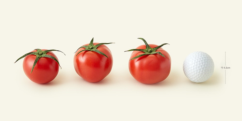 Hariko Tomato , 1 kg, 1 Pack (하이리코 토마토, 1kg, 1개)