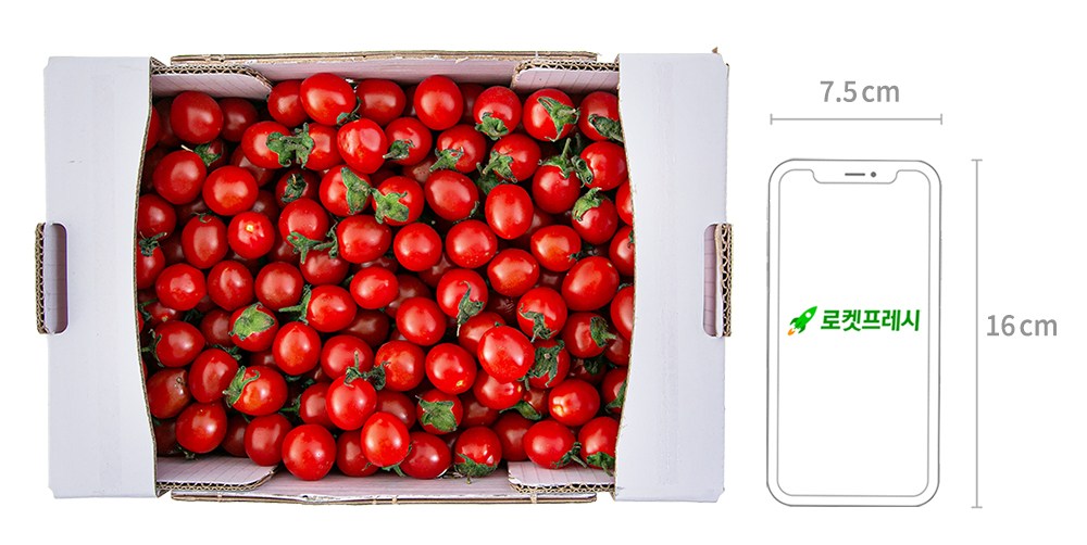 Daechu Cherry Tomato So 4~5 Beon , 1 Pack , 2 kg (대추방울토마토 소과 4~5번과, 1개, 2kg)