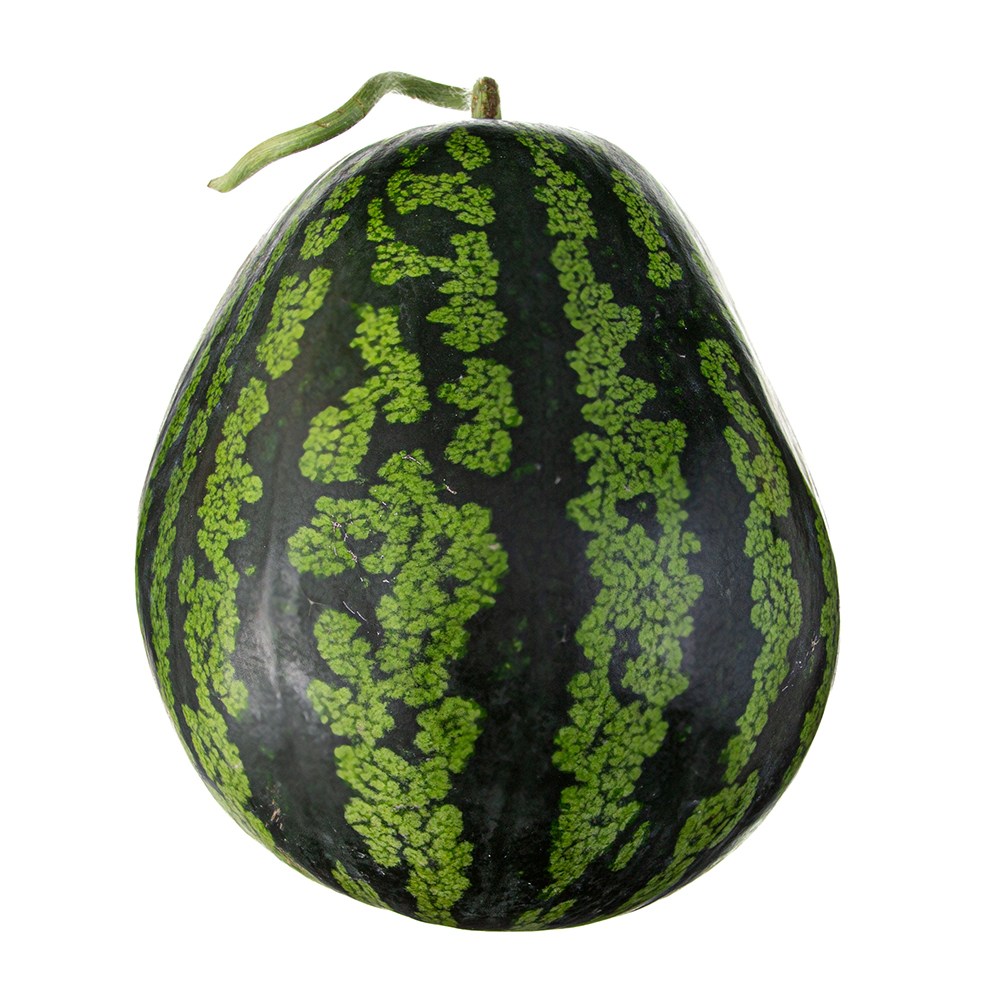 Imperfect Ugok Green Watermelon , 1 Pack , 5 kg Sang (못난이 우곡 그린 수박, 1개, 5kg 이상)