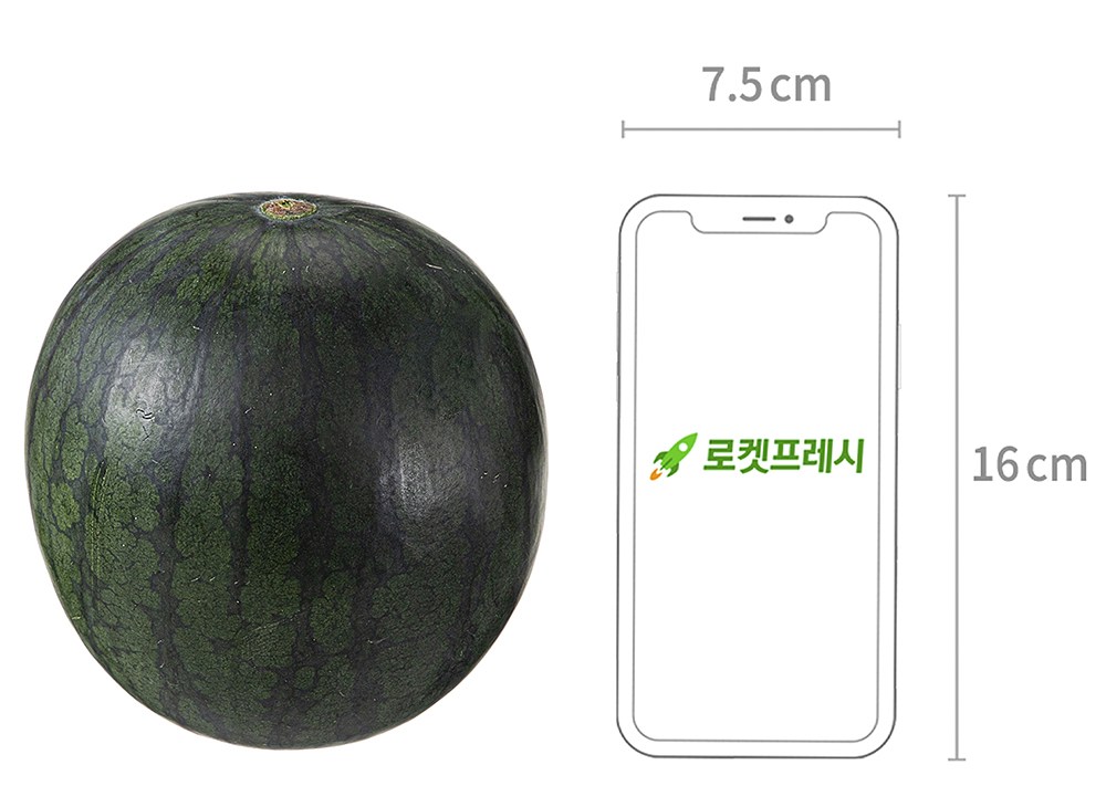 Moyu Whole Ban Kkamang Aepeul Watermelon , 3 kg Miman , 1 Pack (모두유통한반도 까망 애플수박, 3kg 미만, 1개)