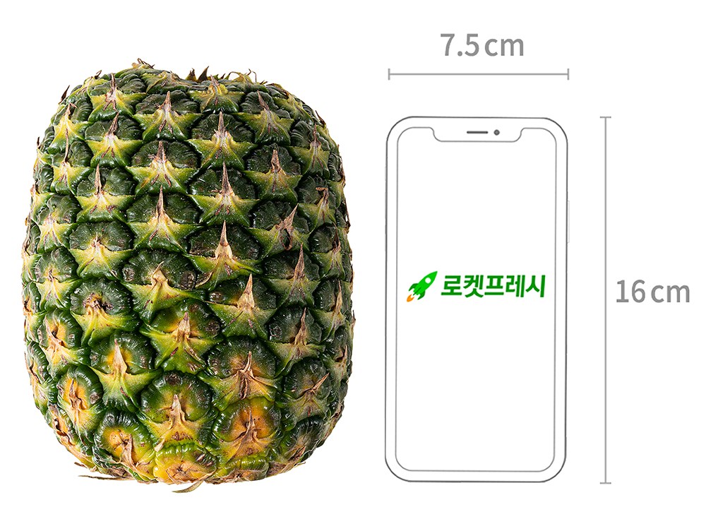 Mannada Gold Pineapple Teukdae 2 Pack , 3.2 kg, 1 Pack (만나다 골드 파인애플 특대 2입, 3.2kg, 1팩)