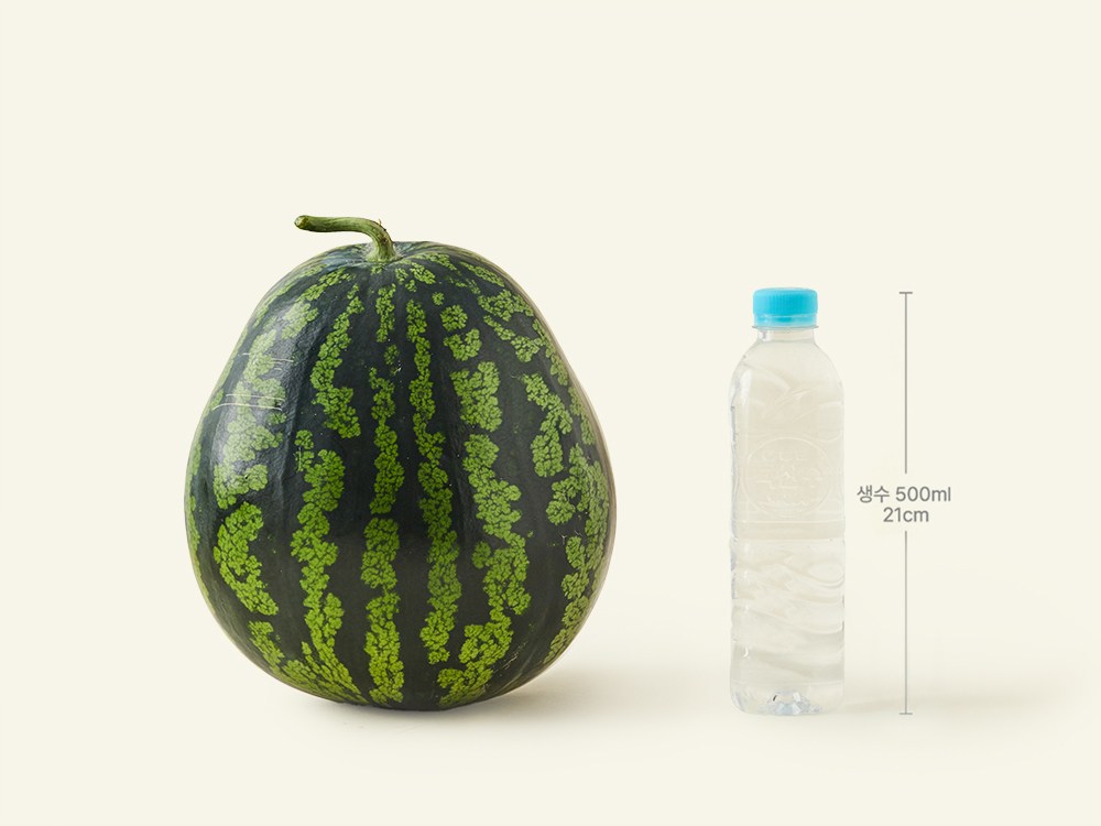 Imperfect Ugok Green Watermelon , 1 Pack , 5 kg Sang (못난이 우곡 그린 수박, 1개, 5kg 이상)