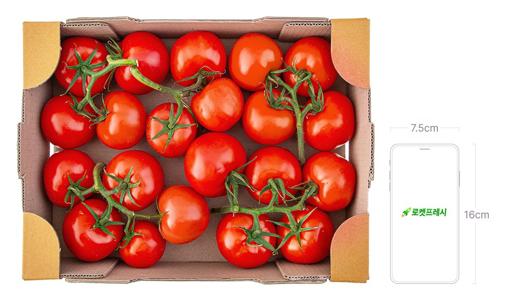 Gwangsiknong Sheets Julgijjae Suhwakhae Deo Fresh Tomato , 1 Pack , 3 kg (광식이농장 줄기째 수확해 더 신선한 토마토, 1개, 3kg)