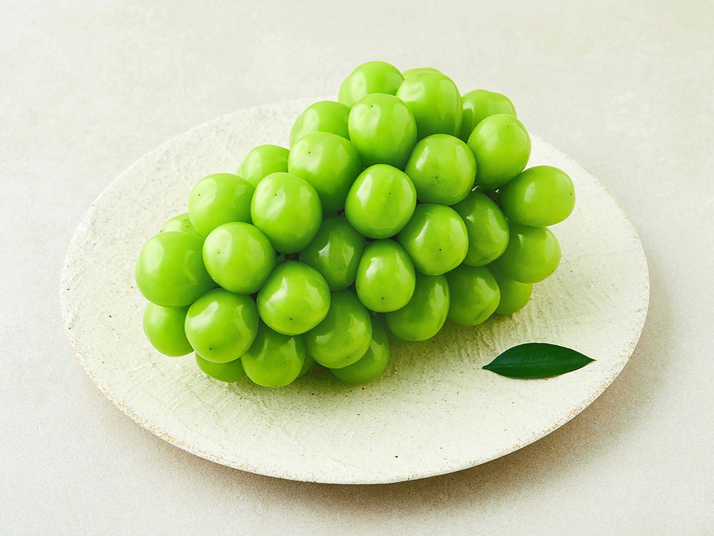 상품 상세 이미지 2