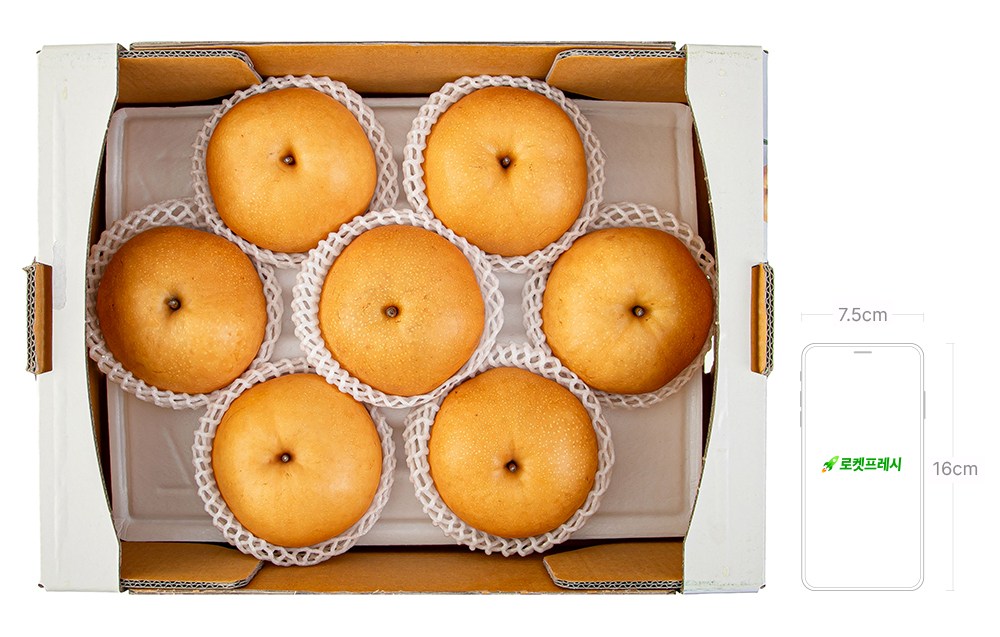 Dabok Sweetness Seonbyeol Altteul Naju Pear , 1 Pack , 5 kg(6~12 Pack ) (다복 당도선별 알뜰 나주배, 1개, 5kg(6~12입))