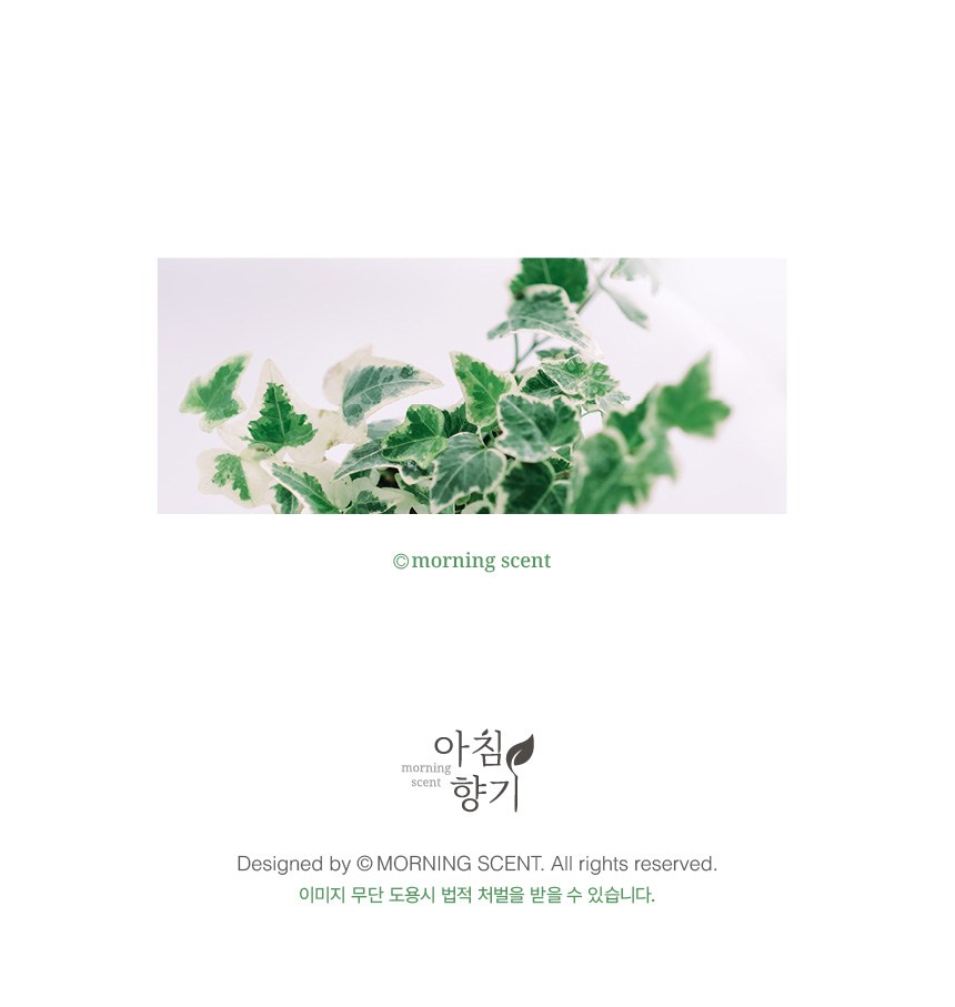 morningscent Chyupachupseu Satangkkotdabal Balpyo Yeonju Chukha Joleopsik Meoritti Cans Dibol Jomyeongkkotdabal , Blue (morningscent 츄파춥스 사탕꽃다발 발표 연주 축하 졸업식 머리띠 캔디볼 조명꽃다발, 블루)