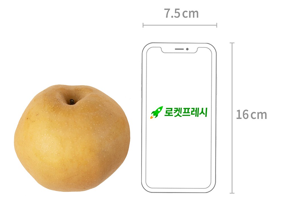 Wonnongsan Sweetness Seonbyeol Pear , 550 g, 1 Pack (원농산 당도선별 배, 550g, 1팩)