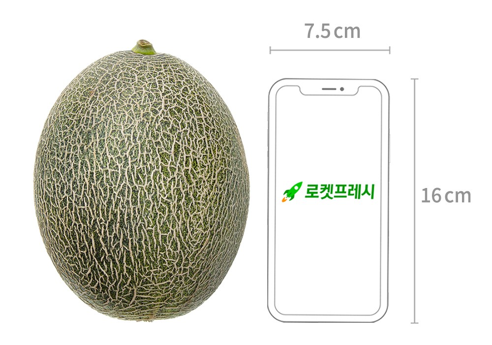 Goryeong Hami Meron , 1 Pack , 1.1 kg (고령 하미과 메론, 1개, 1.1kg)