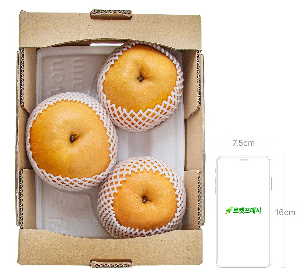 Wonnongsan Dae King Pear 3 Pack Pack , 1 Pack , 3 kg (원농산 대왕배 3개입, 1개, 3kg)