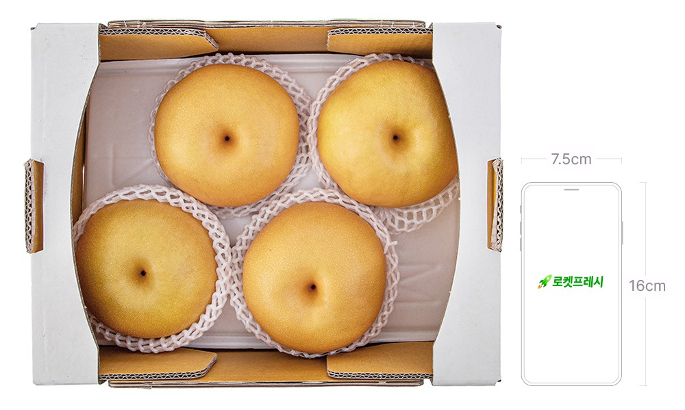 Dabok Sweetness Seonbyeol Naju Pear , 1 Pack , 3 kg(4~6 Pack ) (다복 당도선별 나주배, 1개, 3kg(4~6입))