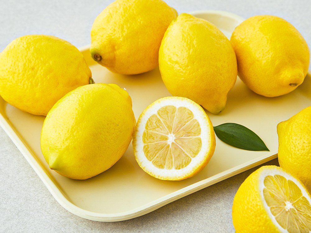 Flavor Gel Lemon (맛젤 레몬)