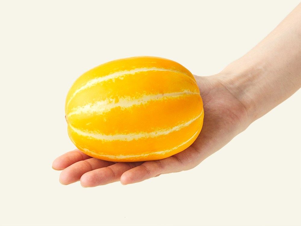 Gimcheon Silsok Korean Melon 4~ 6 Pack , 1 Pack , 1.5 kg (김천 실속 참외 4~6개입, 1개, 1.5kg)