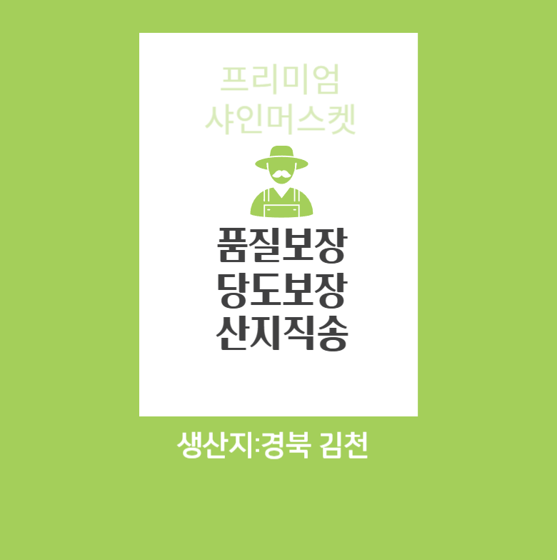 & Beu Mango Flavor Grape High Sweetness Sweetness Bo Sheets Jeongyong Seonmulyong 15 Beurikseusang Syainmeoseuket Seonmul Set 1 Box Syainmeoseuket (3-5 Song ) 2 kg, [ (앤브이 망고맛포도 고당도 당도보장 가정용 선물용 15브릭스이상 샤인머스켓 선물세트 1박스 샤인머스켓 (3-5송이) 2kg, [특]2kg 5수)