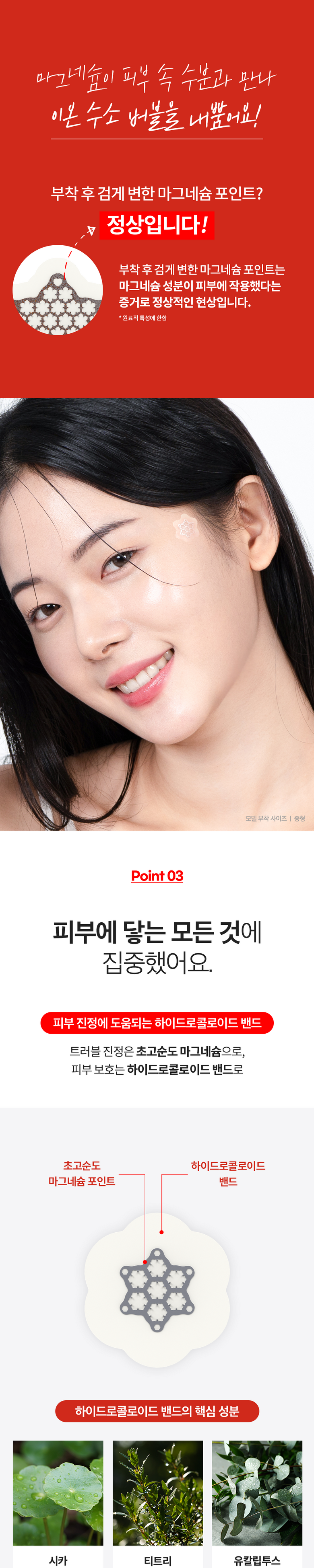 AC Mageusyum Paechi Sohyeong , 10 Pack , 2 Pack (AC 마그네슘 패치 소형, 10개입, 2개)
