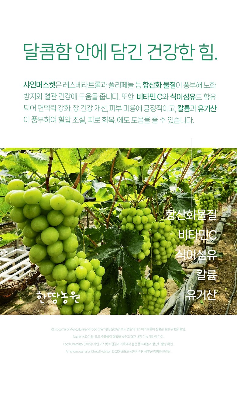 Shine Muscat , 1 Box , 1 kg Sang (1~2 Su ) (샤인머스캣, 1박스, 1kg 상과(1~2수))