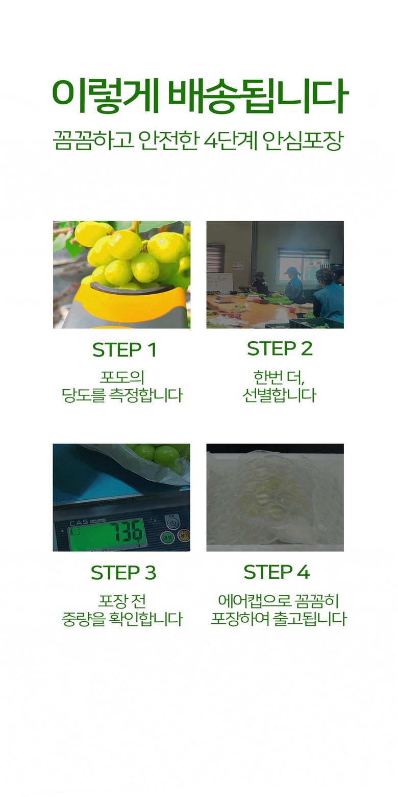 Shine Muscat , 1 Box , 1 kg Sang (1~2 Su ) (샤인머스캣, 1박스, 1kg 상과(1~2수))