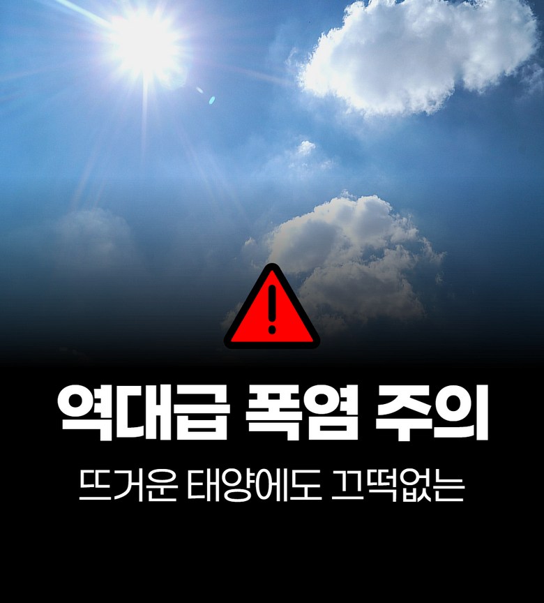 Belseu Jeoncha Types Charyangyong Haetbitri Pack Apyuri Usanhyeong Daehyeong , Black , 1 Pack (로벨스 전차종 차량용 햇빛가리개 앞유리 우산형 대형, 프리미엄 블랙, 1개)