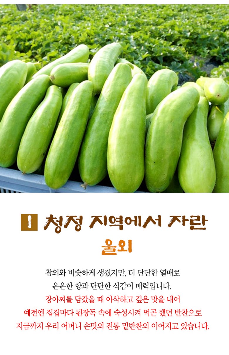 Sambuja Uloe Sheets Ajji Pack Byeolyonggi Package Na NARS Ki 1 kg, 1 Pack (삼부자 울외 장아찌 개별용기포장 나나스키 1kg, 1개)