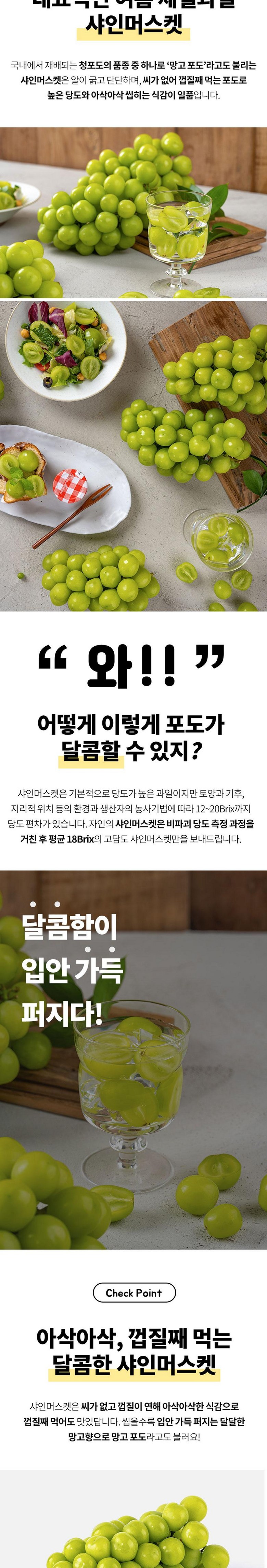 Dajunpam Syainmeoseuket Hauseu Jeuppoktan Honey Grape , 1 Box , Syain 1 kg (2 Song ) (다준팜 샤인머스켓 하우스 프리미엄 과즙폭탄 꿀포도, 1박스, 샤인 1kg (2송이))