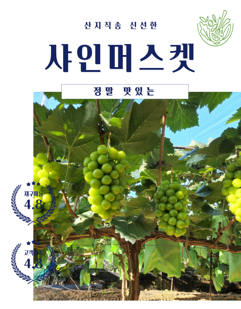 Gutpipeul Syainmeoseuket Syainmeoseuket Grape Sainmeoseuket Cheong Grape Grape Syain , 1 Box , Shine Muscat Ban 1 kg Naeoe (2-3 Song ) ([굿피플] 샤인머스켓 샤인머스켓포도 사인머스켓 청포도 포도 과일 샤인, 1박스, 샤인머스캣 일반 1kg내외(2-3송이))