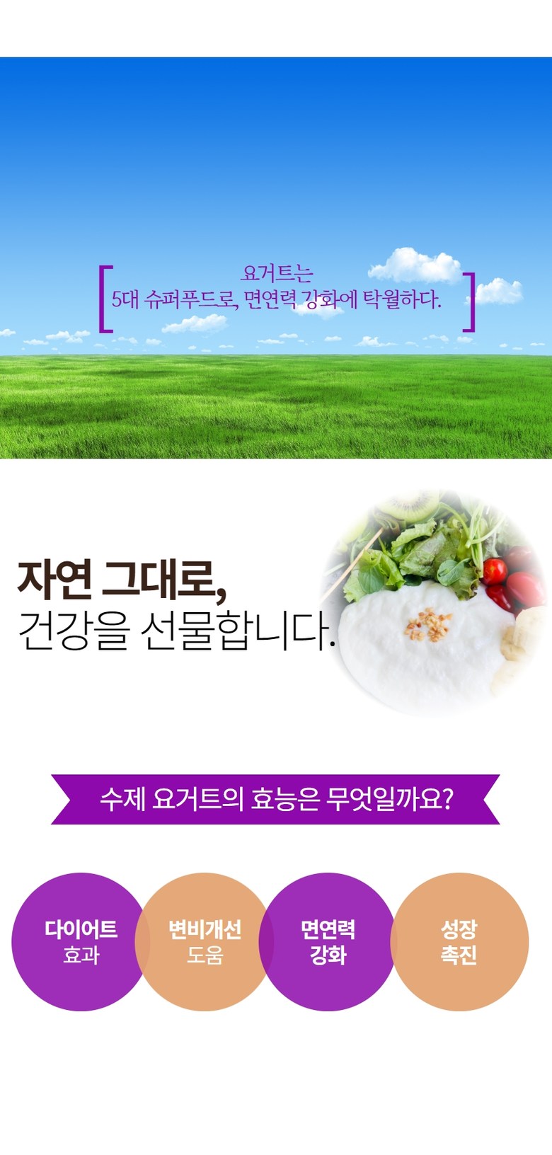 Yogeomol Suje Sugar-free Plain Yogurt , 1 Pack , 1 L (요거몰 수제 무가당 플레인 요거트, 1개, 1L)