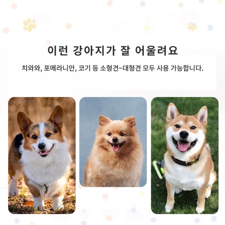 HZDMJ Paet Ultari Ban Ryo Dongmul Daehyeonggyeon Ultari Teunteun Metal Anjeonmun Nonseulrip Jadong Jamgeum Aegyeon Penseu Daehyeong Ultari Silnae (HZDMJ 팻 울타리 반려동물 대형견 울타리 튼튼한 메탈 안전문 논슬립 자동 잠금 애견 펜스 대형 울타리 실내용 반려동물펜스, 6세트, 블랙/화이트)