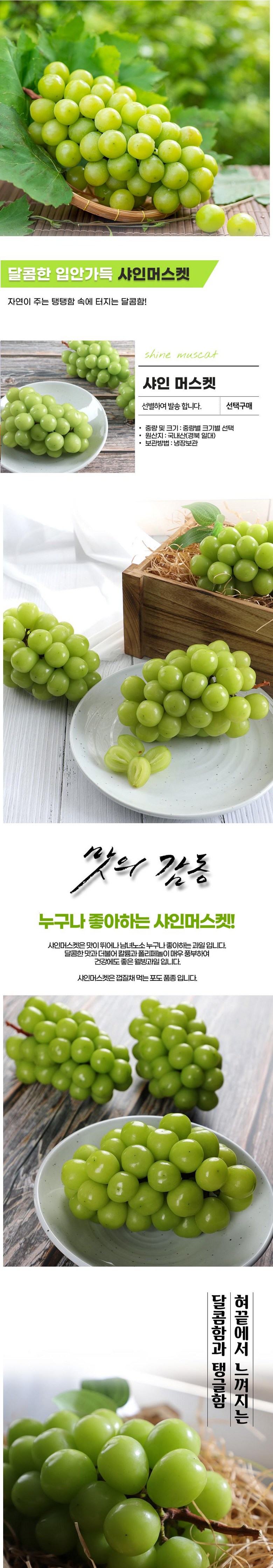 Sweetness Bo Sheets Syainmeoseuket , 1 Box , Shine Muscat 1 kg 2-3 Su (당도 보장 샤인머스켓, 1박스, 샤인머스캣 1kg2-3수)