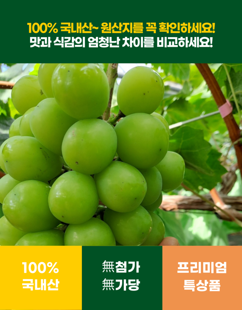 Nong Sheets Jiksong Eokaepanjeon Package High Sweetness Shine Muscat (18 Beurikseucho ), 1 Box , Jeongyong ( Sang )1 kg (2 Song ) ([농장직송 에어캡안전포장] 고당도 프리미엄 샤인머스캣 (18브릭스초과), 1박스, 가정용(상)1kg (2송이))