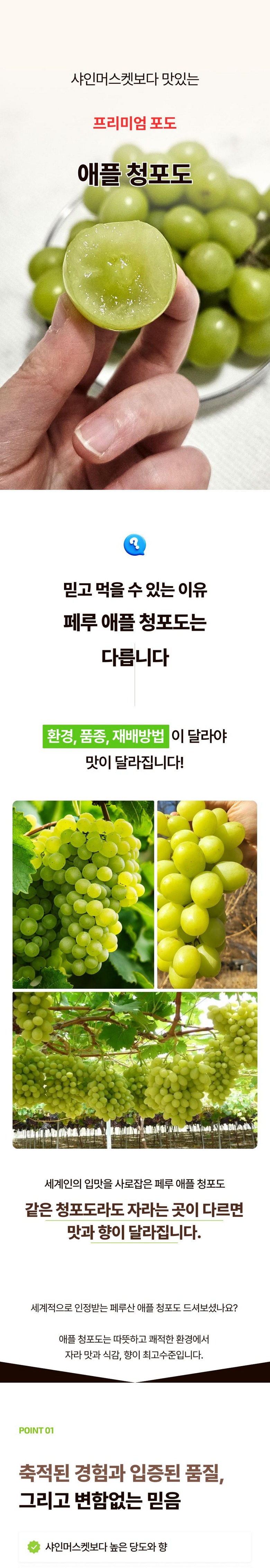 Seonbyeol High Sweetness Aepeul Cheong Grape Syainmeoseuket Ssieops Grape Sweetness Seonbyeol , 1 Pack , Aepeul Cheong Grape 500 g ([프리미엄 선별] 고당도 애플 청포도 샤인머스켓 씨없는 포도 당도선별, 1개, 애플 청포도 500g)