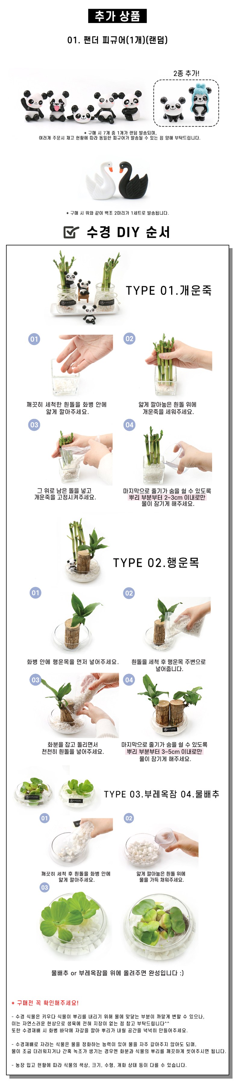 갑조네 공기정화식물 수경재배 실내인테리어 여름식물 개운죽 행운목 부레옥잠 물배추 - 석부작 | 쿠팡