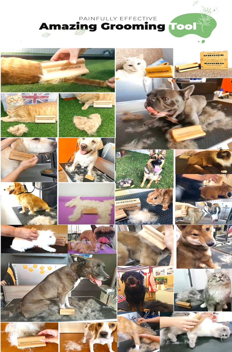 ZOORO 주로 그루밍 빗 고양이 강아지 털정리 그루밍 털갈이 브러쉬 - 브러쉬/빗 | 쿠팡, image size:780x1179