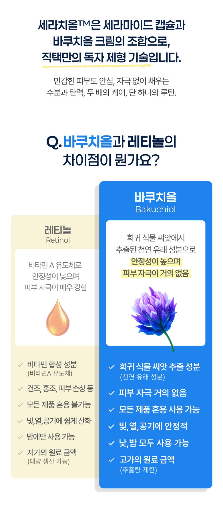 Jiktaek Ceramide Bakuchiol Set Rachiol Cream Jaesaeng Firming Pore Soothing Moisture Moisturizing Retinol , 1 Pack , 50 ml (직택 세라마이드 바쿠치올 세라치올 크림 재생 탄력 모공 진정 수분 보습 레티놀, 1개, 50ml)