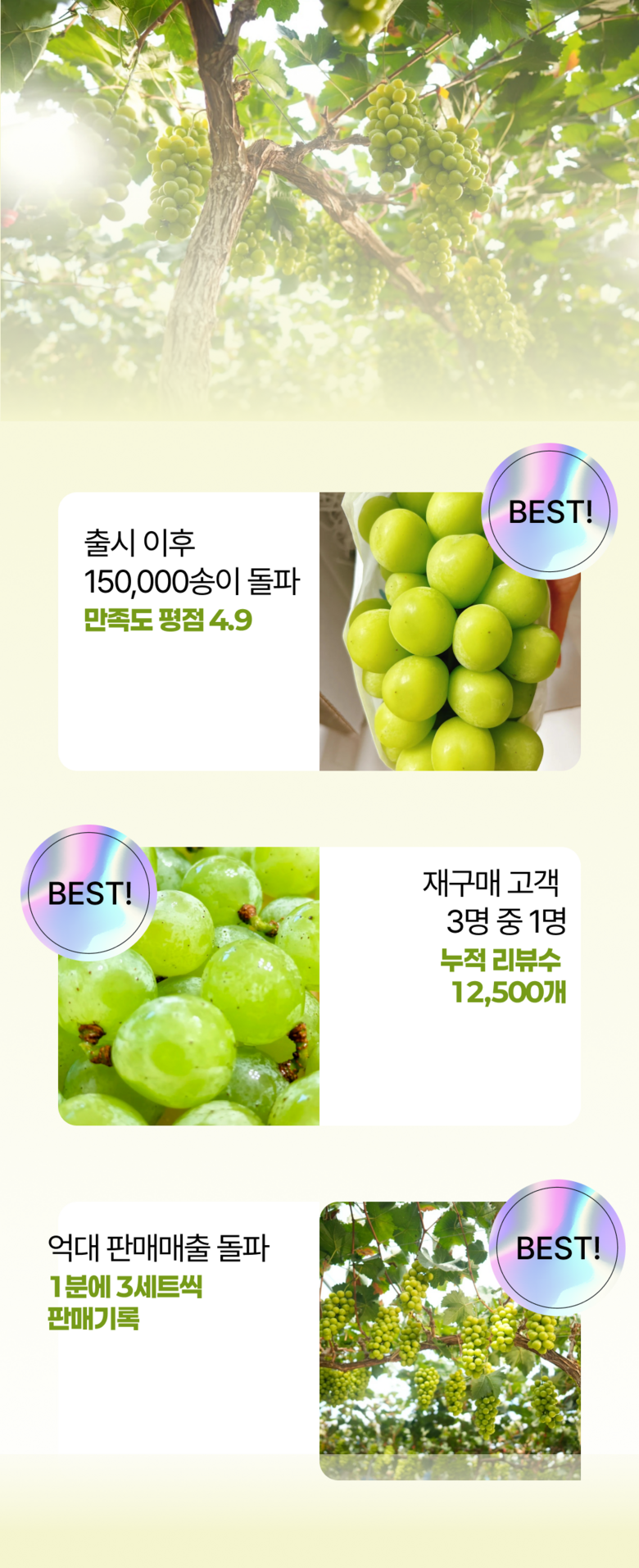 High Sweetness Aepeulcheong Grape Eoteomkeuriseupi Crunchy Dalkom Ssieops Otomkeuriseupi , 1 Pack , Dalkom Aepeulcheong Grape 500 G ([고당도] 애플청포도 어텀크리스피 아삭달콤 씨없는 오톰크리스피, 1개, 달콤 애플청포도 500G)