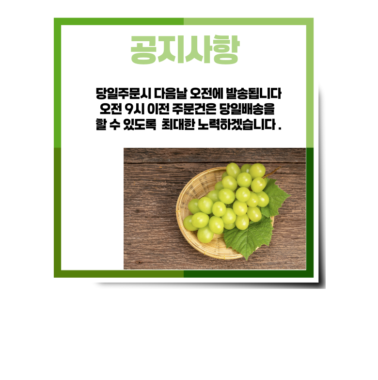 & Beu Mango Flavor Grape High Sweetness Sweetness Bo Sheets Jeongyong Seonmulyong 15 Beurikseusang Syainmeoseuket Seonmul Set 1 Box Syainmeoseuket (3-5 Song ) 2 kg, [ (앤브이 망고맛포도 고당도 당도보장 가정용 선물용 15브릭스이상 샤인머스켓 선물세트 1박스 샤인머스켓 (3-5송이) 2kg, [특]2kg 5수)