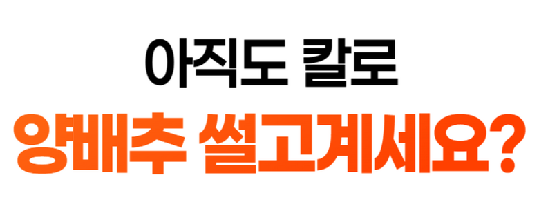 Soltem Cabbage Chaekal Cabbage Kal , 1 Pack , Geure (한솔템 양배추 채칼 양배추칼, 1개, 그레이)