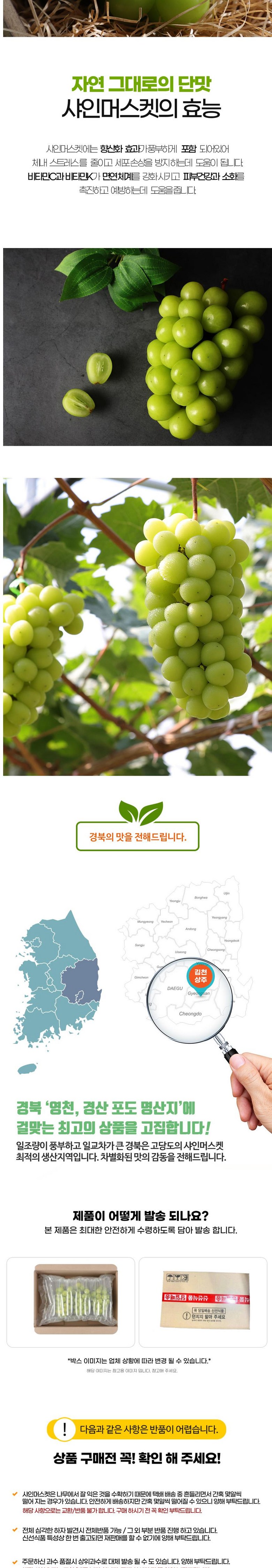 Sweetness Bo Sheets Syainmeoseuket , 1 Box , Shine Muscat 1 kg 2-3 Su (당도 보장 샤인머스켓, 1박스, 샤인머스캣 1kg2-3수)