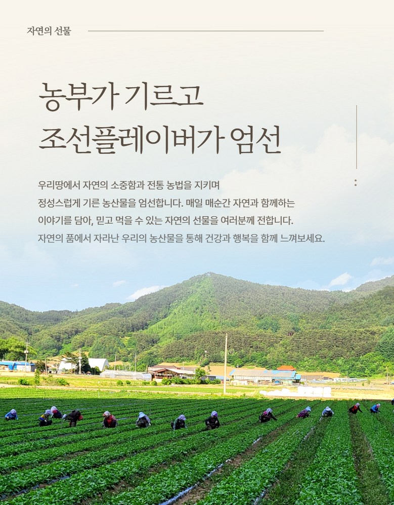 Domestic Geon Gondeure Namul Geongondeure Geonnamul , 1 Pack , Gondeure Namul 100 g ([국산 건 곤드레 나물] 건곤드레 건나물, 1개, 곤드레 나물 100g)