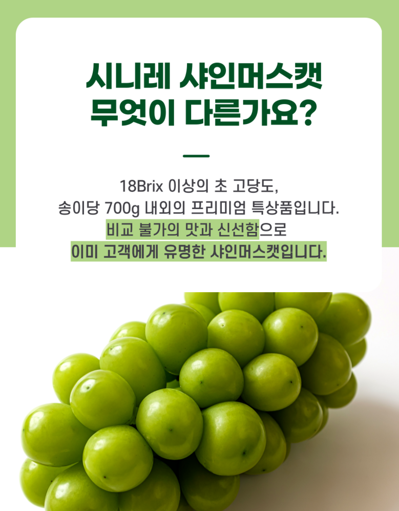 Nong Sheets Jiksong Eokaepanjeon Package High Sweetness Shine Muscat (18 Beurikseucho ), 1 Box , Jeongyong ( Sang )1 kg (2 Song ) ([농장직송 에어캡안전포장] 고당도 프리미엄 샤인머스캣 (18브릭스초과), 1박스, 가정용(상)1kg (2송이))