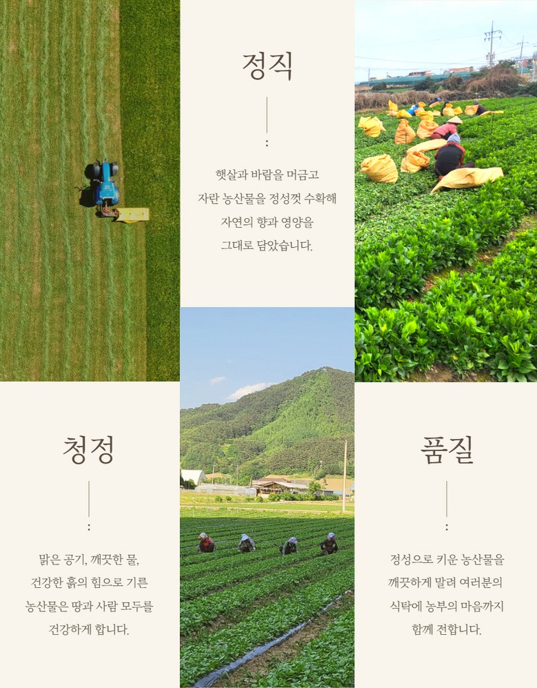 Domestic Geon Gondeure Namul Geongondeure Geonnamul , 1 Pack , Gondeure Namul 100 g ([국산 건 곤드레 나물] 건곤드레 건나물, 1개, 곤드레 나물 100g)