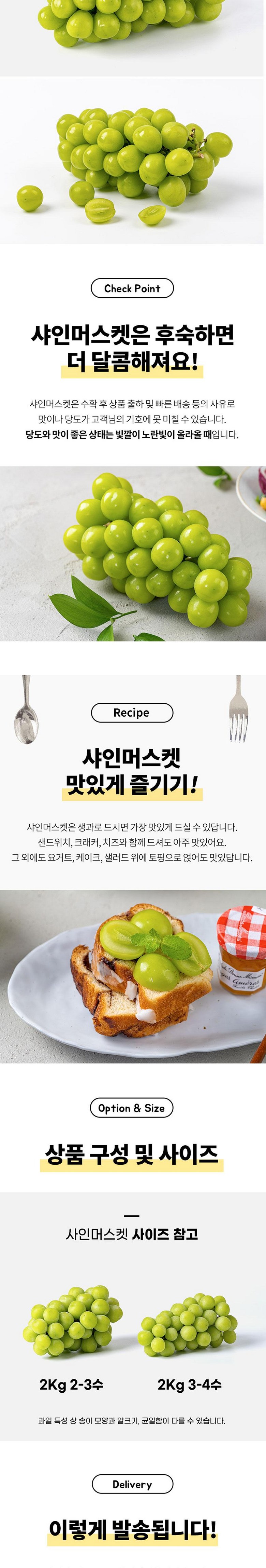 Dajunpam Syainmeoseuket Hauseu Jeuppoktan Honey Grape , 1 Box , Syain 1 kg (2 Song ) (다준팜 샤인머스켓 하우스 프리미엄 과즙폭탄 꿀포도, 1박스, 샤인 1kg (2송이))