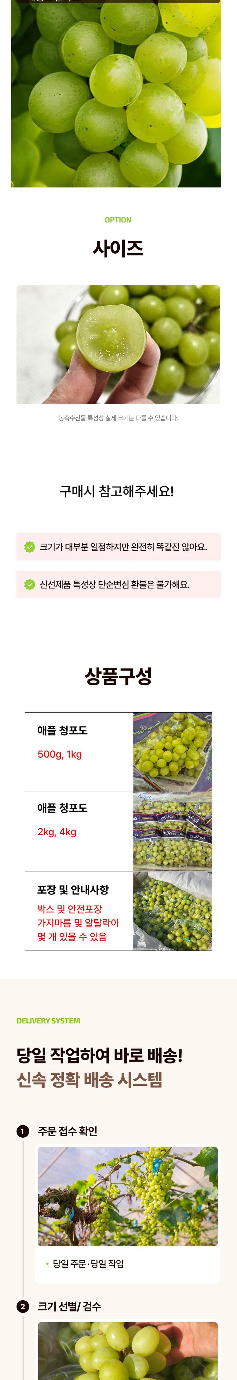 Seonbyeol High Sweetness Aepeul Cheong Grape Syainmeoseuket Ssieops Grape Sweetness Seonbyeol , 1 Pack , Aepeul Cheong Grape 500 g ([프리미엄 선별] 고당도 애플 청포도 샤인머스켓 씨없는 포도 당도선별, 1개, 애플 청포도 500g)